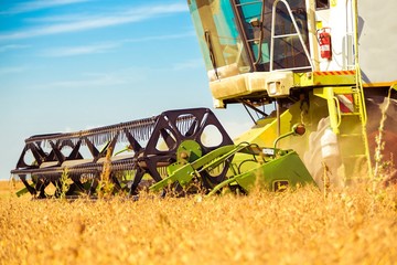 Farming, harvester, harvesting.