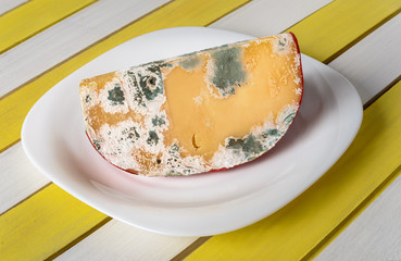 Moldy cheese on the  plate