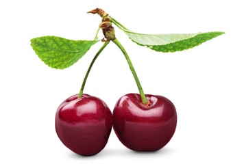 Cherry, White, Backgrounds.