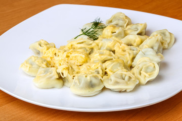 Russian dumplings