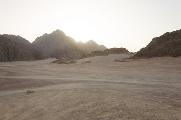 Desert in Africa. ATV safaris. Excursions in Egypt