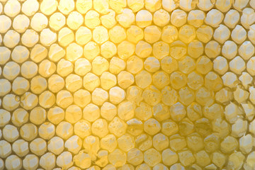 distorted honeycombs, half filled with honey