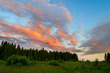 Evening sky over forest. Russian nature