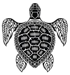 Naklejka premium Turtle