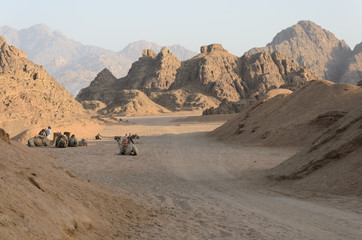 Desert in Africa. ATV safaris. Excursions in Egypt