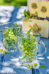Healthy linden tea with honey with in summer