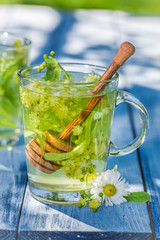 Fresh tea with honey with in sunny garden