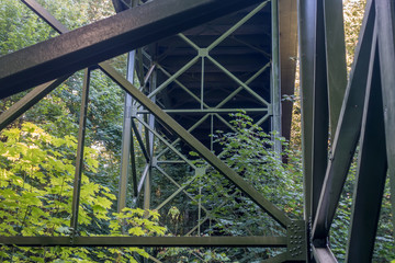Bridge At Dash Point