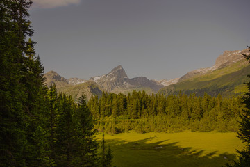 Obraz premium Alp Flix – Schwarz See im Hochmoor mit Piz Platta im Hintergrund