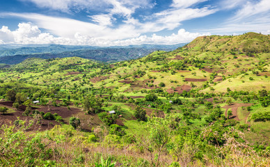 Fototapeta na wymiar View of the Bonga forest reserve in southern Ethiopia