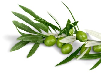 Olive, Olive Branch, Leaf.