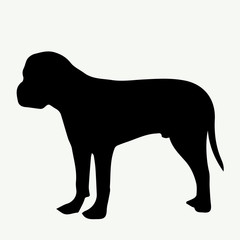 Dog silhouette on white background