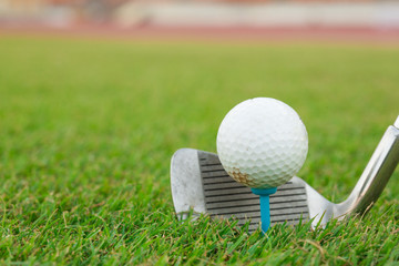 Golf club and ball in grass