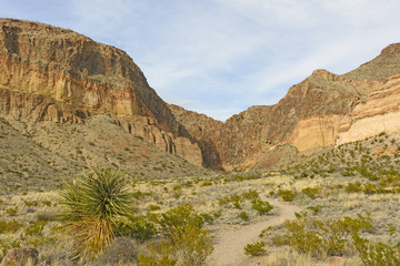 Remote trail into the Desert