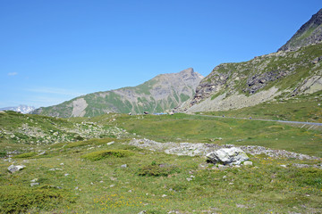 Julierpass mit Piz Bardella