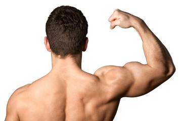 Human Muscle, Bicep, Muscular Build.