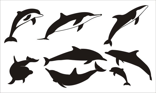 Silhouettes of dolphins. Set. Vector illustration