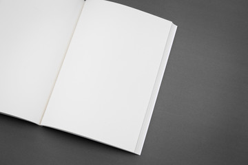 Blank catalog,brochure, magazines,book mock up