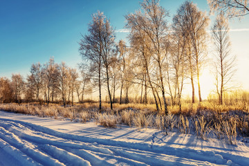 Sunset in winter field