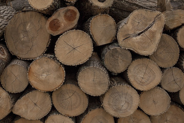 Abstract pattern formed by a pile of logs.