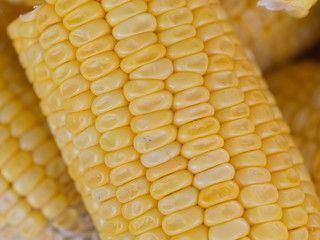 Corn
