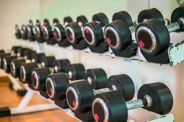 Obraz premium Rows of dumbbells in the gym