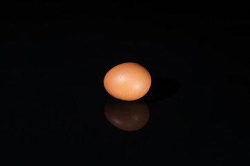 Chicken brown egg