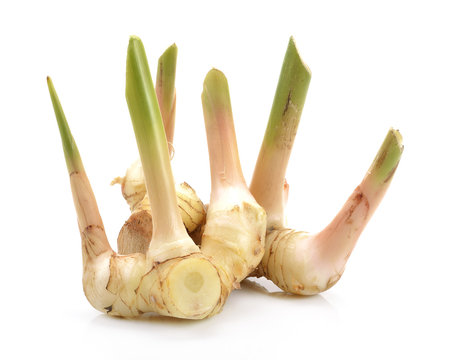 Fresh galangal isolated on white background.