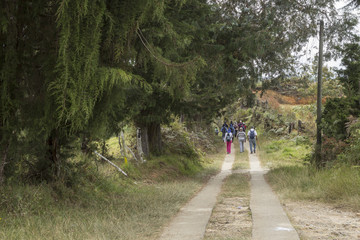 Fototapeta premium caminantes 