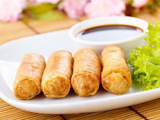 Frühlingsrollen - spring rolls