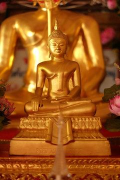 close-up gold buddha / thailand