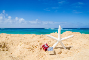 Starfish on the sandy beach