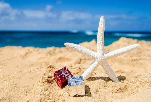 Fototapeta Starfish with gift boxes on the sandy beach
