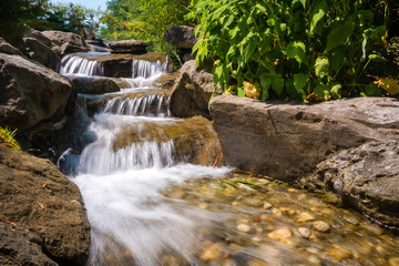 Water stream in nature