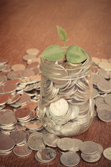plant growing out of coins with filter effect retro vintage styl