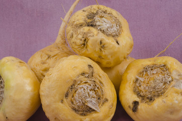 Maca - Lepidium meyenii