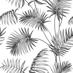 Topical palm leaves.