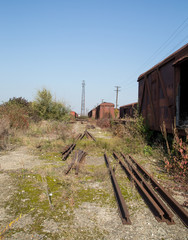 old wagon isolated