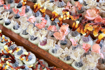 mushroom cultivation with variety types