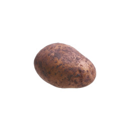 Fototapeta na wymiar potato isolated on white background close up