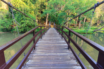 Fototapeta na wymiar Rope walkway through the treetops in a rain forest