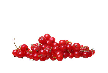 Branches of berry red currants isolated on a white background