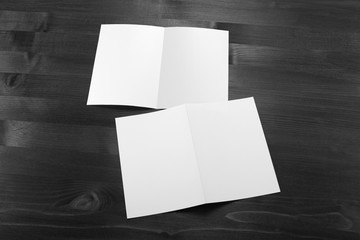 blank white folding paper flyer