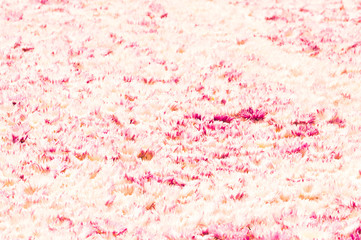 Obraz premium Floral background