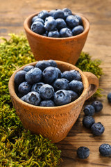 Blueberries in ceramic bowl