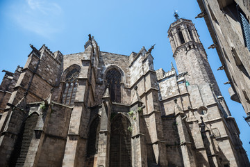 Fototapeta na wymiar Cathedral of the Holy Cross and Saint Eulalia at Gothic Quarter in Barcelona, Spain