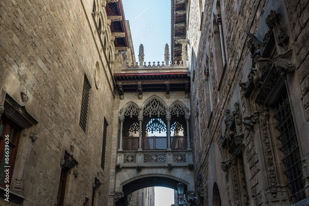 Wall mural details of Palau de la Generalitat de Catalunya at Gothic Quarter in Barcelona, Spain