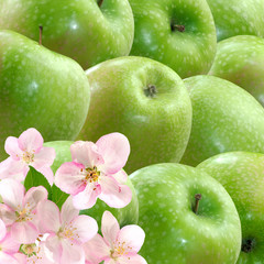 image of green apples