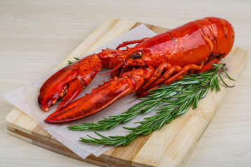 Lobster