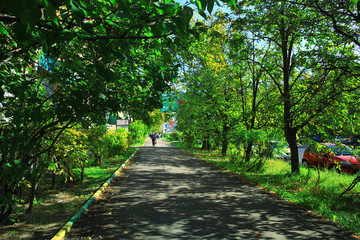 Summer in the city park landscape